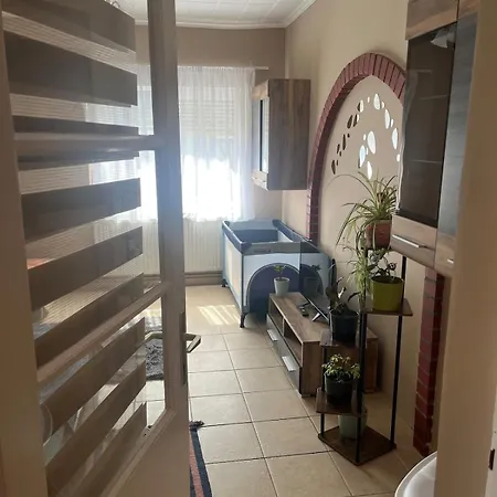 Apartment Tejfeles Vendeghaz