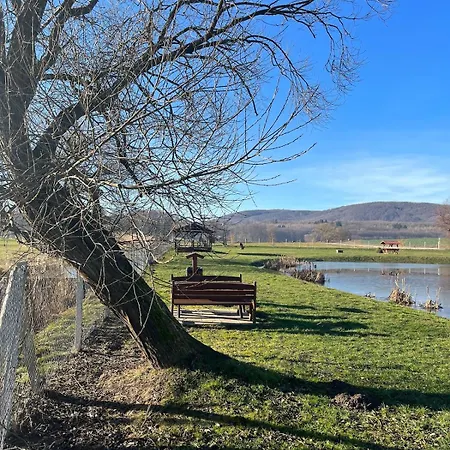 Apartamento Tejfeles *