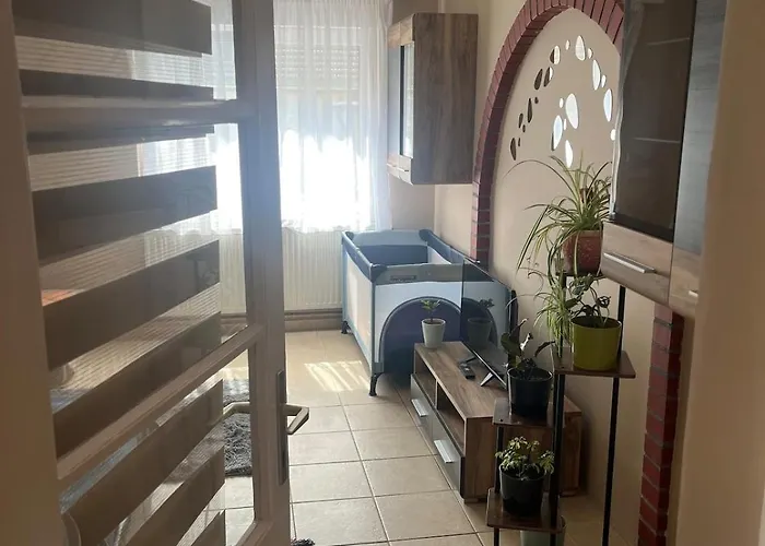 Apartman Tejfeles